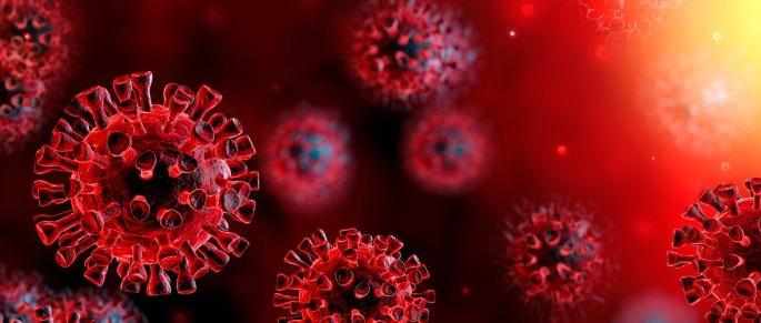 Corona Virus in Nagpur: Corona Virus Blast Again, 500 Positive After 66 Days | CoronaVirus in Nagpur : कोरोनाचा पुन्हा ब्लास्ट, ६६ दिवसांनी ५०० पॉझिटिव्ह Corona Virus in Nagpur: Corona Virus Blast Again, 500 Positive After 66 Days | CoronaVirus in Nagpur : कोरोनाचा पुन्हा ब्लास्ट, ६६ दिवसांनी ५०० पॉझिटिव्ह