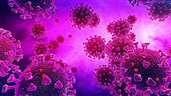 Corona Virus in Nagpur: Three killed in Nagpur, 122 positive | CoronaVirus in Nagpur : नागपुरात तिघांचा मृत्यू, १२२ पॉझिटिव्ह Corona Virus in Nagpur: Three killed in Nagpur, 122 positive | CoronaVirus in Nagpur : नागपुरात तिघांचा मृत्यू, १२२ पॉझिटिव्ह