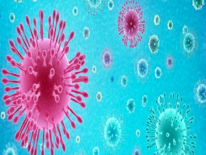 Old Nashik: Three members of the same family were killed by Corona | जुने नाशिक : एकाच कुटुंबातील तीघांचा कोरोनाने घेतला बळी