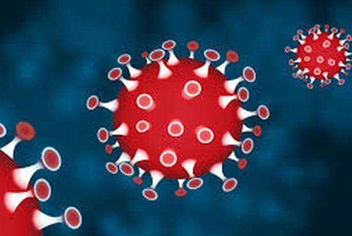 CoronaVirus in Nagpur: Corona virus doubles in number | CoronaVirus in Nagpur : कोरोनाच्या रुग्णसंख्येत दुपटीने घट CoronaVirus in Nagpur: Corona virus doubles in number | CoronaVirus in Nagpur : कोरोनाच्या रुग्णसंख्येत दुपटीने घट