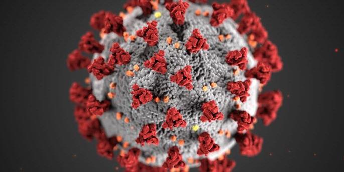 Corona Virus in Nagpur: Corona virus low in Nagpur: 20 deaths recorded after two months | CoronaVirus in Nagpur : नागपुरात कोरोनाचा जोर कमी : दोन महिन्यानंतर २० मृत्यूची नोंद