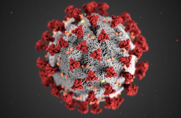 CronaVirus in nagpur: The coronation of Vidarbha towards the century | CronaVirus in nagpur : विदर्भात कोरोनाबाधितांची शतकाकडे वाटचाल 
