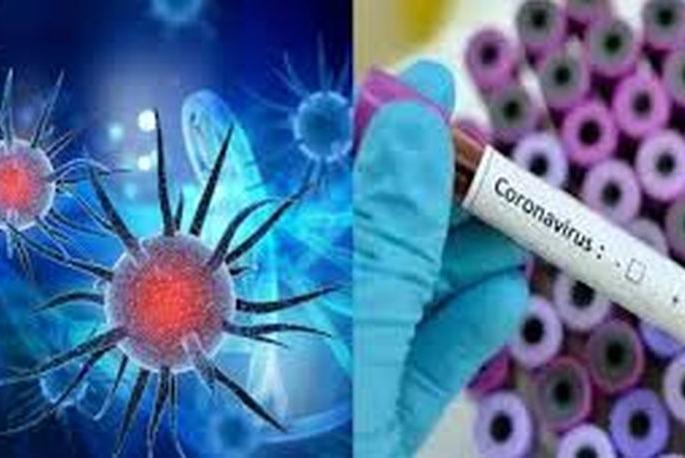 Corona infection through religious gathering, 155 people tested positive in Zadegaon | पारायण सप्ताहातून कोरोनाचा संसर्ग, झाडेगावात तब्बल १५५ जण पॉझिटिव्ह Corona infection through religious gathering, 155 people tested positive in Zadegaon | पारायण सप्ताहातून कोरोनाचा संसर्ग, झाडेगावात तब्बल १५५ जण पॉझिटिव्ह