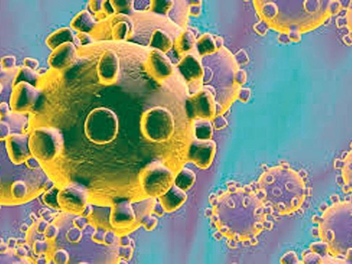 In Jamkhed again with three corona; The number of Nagar district is 43 | जामखेडमध्ये पुन्हा तीन कोरोनाबाधीत; नगर जिल्ह्याचा आकडा ४३ वर In Jamkhed again with three corona; The number of Nagar district is 43 | जामखेडमध्ये पुन्हा तीन कोरोनाबाधीत; नगर जिल्ह्याचा आकडा ४३ वर