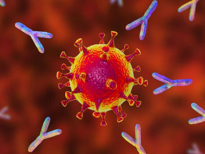 CoronaVirus News inhaled nanobodies new secret weapon against covid 19 | CoronaVirus News: लवकरच कोरोनाचा गेम ओव्हर? शास्त्रज्ञांनी शोधलं स्वस्त अन् मस्त 'गुप्त हत्यार' CoronaVirus News inhaled nanobodies new secret weapon against covid 19 | CoronaVirus News: लवकरच कोरोनाचा गेम ओव्हर? शास्त्रज्ञांनी शोधलं स्वस्त अन् मस्त 'गुप्त हत्यार'