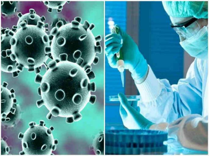 Corona virus : The number of corona positive patients increased again in Pune city on Tuesday; 416 new patients | Corona virus : पुणे शहरात कोरोना पॉझिटिव्ह रुग्णांच्या संख्येत वाढ; मंगळवारी ४१६ नवे रुग्ण Corona virus : The number of corona positive patients increased again in Pune city on Tuesday; 416 new patients | Corona virus : पुणे शहरात कोरोना पॉझिटिव्ह रुग्णांच्या संख्येत वाढ; मंगळवारी ४१६ नवे रुग्ण