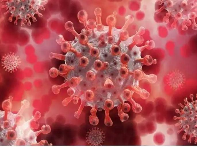 Niv Detects New Covid 19 Variant B 1 1 28 2 In Travelers From Uk And Brazil | CoronaVirus News: कोरोनाचा नवा व्हेरिएंट सापडला, लागण झाल्यास गंभीर आजारांचा धोका, पण...