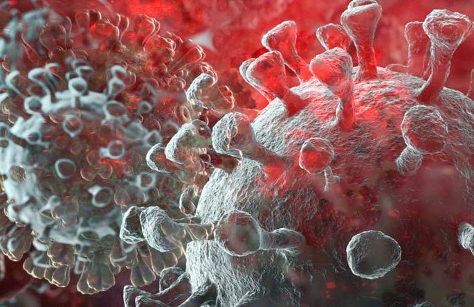 Corona virus in Nagpur: 431 patients, 3 deaths in 13 days in Nagpur | CoronaVirus in Nagpur : नागपुरात १३ दिवसात ४३१ रुग्ण, ३ मृत्यू Corona virus in Nagpur: 431 patients, 3 deaths in 13 days in Nagpur | CoronaVirus in Nagpur : नागपुरात १३ दिवसात ४३१ रुग्ण, ३ मृत्यू