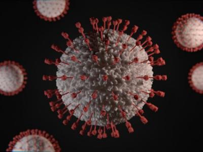 CoronaVirus: Corona-infected woman dies in civil | CoronaVirus : सिव्हिलमध्ये कोरोना बाधित महिलेचा मृत्यू