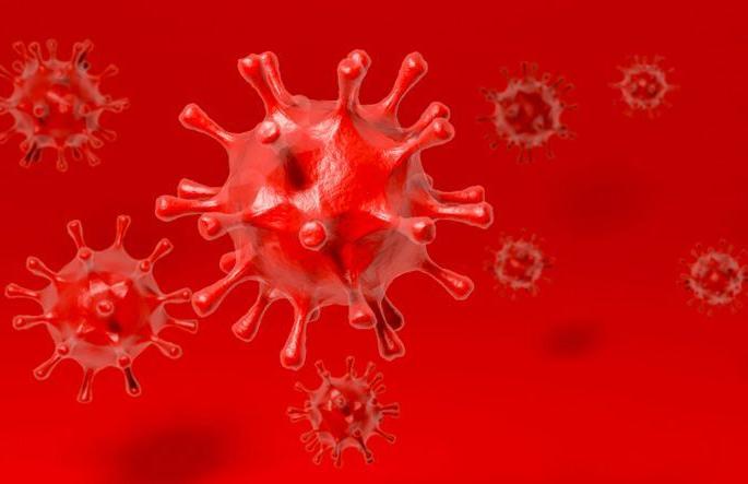 Corona Virus in Nagpur: High in Nagpur, 342 patients tested positive, nine patients die | CoronaVirus in Nagpur : नागपुरात उच्चांक, तब्बल ३४२ रुग्ण पॉझिटिव्ह,नऊ रुग्णांचा मृत्यू Corona Virus in Nagpur: High in Nagpur, 342 patients tested positive, nine patients die | CoronaVirus in Nagpur : नागपुरात उच्चांक, तब्बल ३४२ रुग्ण पॉझिटिव्ह,नऊ रुग्णांचा मृत्यू