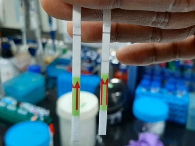 CoronaVirus Indias new paper Covid 19 test could be a game changer | CoronaVirus News: भारताची नवी पेपर टेस्ट गेम चेंजर ठरणार; कोरोना युद्धात मोलाची कामगिरी बजावणार CoronaVirus Indias new paper Covid 19 test could be a game changer | CoronaVirus News: भारताची नवी पेपर टेस्ट गेम चेंजर ठरणार; कोरोना युद्धात मोलाची कामगिरी बजावणार