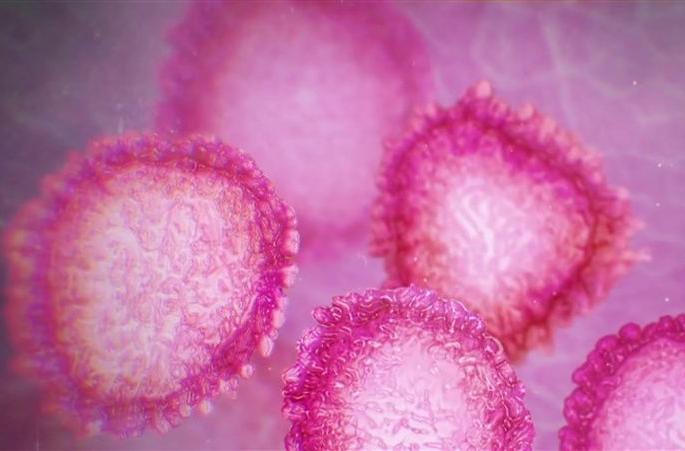 Number of corona patients suspected in Nagpur | Coronavirus : नागपुरात कोरोना संशयित रुग्णांची संख्या २३ Number of corona patients suspected in Nagpur | Coronavirus : नागपुरात कोरोना संशयित रुग्णांची संख्या २३