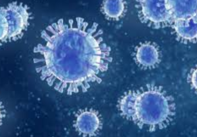 coronavirus: The number of patients admitted in Aurangabad district again on the threshold of four thousand | coronavirus : औरंगाबाद जिल्ह्यात भरती रुग्णांची संख्या पुन्हा चार हजाराच्या उंबरठ्यावर