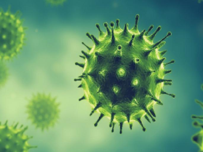 The woman who was killed by Corona in Ratnagiri is quite alive on the portal | अजबच! रत्नागिरीत कोरोनाने मृत झालेली महिला पोर्टलवर चक्क जिवंत The woman who was killed by Corona in Ratnagiri is quite alive on the portal | अजबच! रत्नागिरीत कोरोनाने मृत झालेली महिला पोर्टलवर चक्क जिवंत