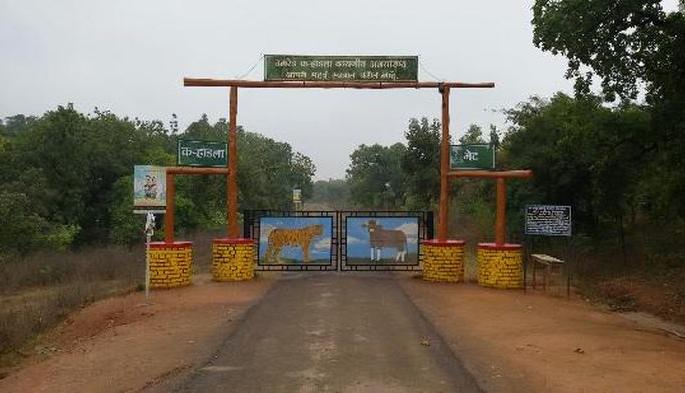 Vigilance for Corona: 5 tiger project in Vidarbha and 3 sanctuaries closed | कोरोनासाठी दक्षता :  विदर्भातील ५ व्याघ्र प्रकल्प आणि ३ अभयारण्ये राहणार बंद