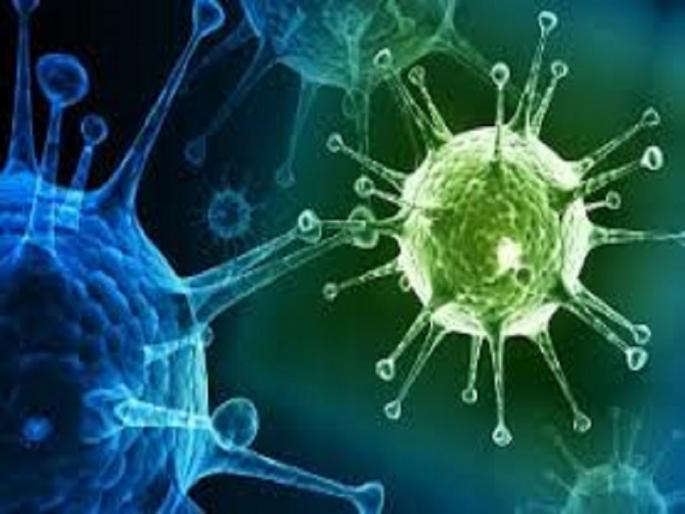 Coronavirus: Sero survey examining the tendency to coronavirus infection; Three ward targets | Coronavirus: कोरोना संसर्ग संक्रमणाचा कल तपासणारे सेरो सर्वेक्षण; तीन वॉर्ड लक्ष्य
