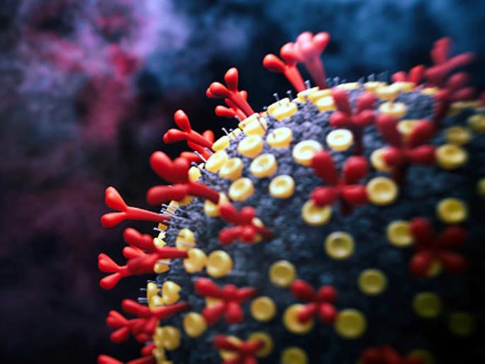 CoronaVirus live updates: new Covid-19 variant B.1.1.529 found in South Africa | CoronaVirus live updates: तो पुन्हा आला! आफ्रिकेत कोरोनाचा नवा व्हेरिअंट सापडला; वेगाने पसरतोय CoronaVirus live updates: new Covid-19 variant B.1.1.529 found in South Africa | CoronaVirus live updates: तो पुन्हा आला! आफ्रिकेत कोरोनाचा नवा व्हेरिअंट सापडला; वेगाने पसरतोय