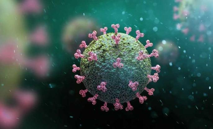 After 113 days, the number of corona patients in Nagpur increased to 61 | ११३ दिवसांनी नागपुरात कोरोना रुग्णसंख्या ६१ वर