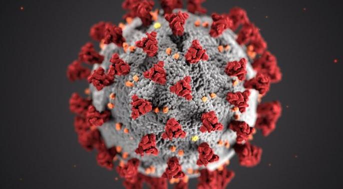 Corona virus in Nagpur: 12 deaths in Nagpur, 2,819 corona outbreaks from where: Confusion of Patients and deaths | CoronaVirus in Nagpur : नागपुरात १२ मृत्यू, २,८१९ कोरोनाबाधित आले कुठून : रुग्ण व मृत्यूसंख्येतील घोळ Corona virus in Nagpur: 12 deaths in Nagpur, 2,819 corona outbreaks from where: Confusion of Patients and deaths | CoronaVirus in Nagpur : नागपुरात १२ मृत्यू, २,८१९ कोरोनाबाधित आले कुठून : रुग्ण व मृत्यूसंख्येतील घोळ