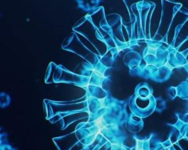 Coronavirus : Another 27 patients tested positive in Latur district | coronavirus : लातूर जिल्ह्यात आणखीन २७ रूग्ण पॉझिटिव्ह Coronavirus : Another 27 patients tested positive in Latur district | coronavirus : लातूर जिल्ह्यात आणखीन २७ रूग्ण पॉझिटिव्ह