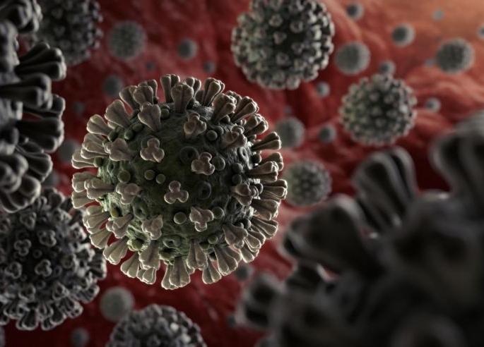 Shocking! In Nagpur, four of the same family are positive | Corona Virus in Nagpur; धक्कादायक! नागपुरात एकाच कुटुंबातील चारजण पॉझिटिव्ह Shocking! In Nagpur, four of the same family are positive | Corona Virus in Nagpur; धक्कादायक! नागपुरात एकाच कुटुंबातील चारजण पॉझिटिव्ह