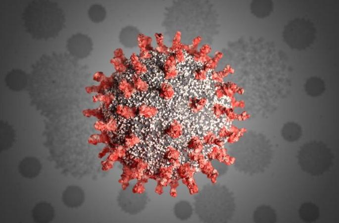 Coronavirus in Nagpur: 100th patient on the 44th day in Nagpur: Effect of measures | CoronaVirus in Nagpur : नागपुरात ४४ व्या दिवशी १०० वा रुग्ण : उपाययोजनांचा प्रभाव