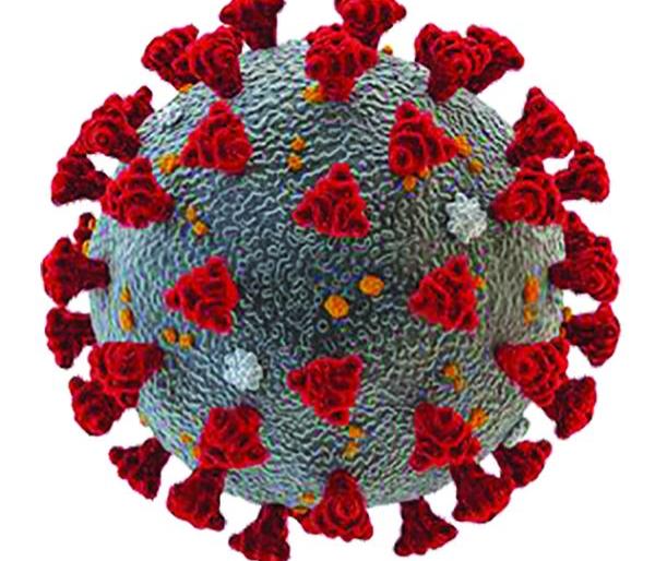 Corona virus in Nagpur: 1 in Nagpur city and 2 in rural areas | CoronaVirus in Nagpur : नागपूर शहरात १ तर, ग्रामीणमध्ये २ मृत्यू Corona virus in Nagpur: 1 in Nagpur city and 2 in rural areas | CoronaVirus in Nagpur : नागपूर शहरात १ तर, ग्रामीणमध्ये २ मृत्यू