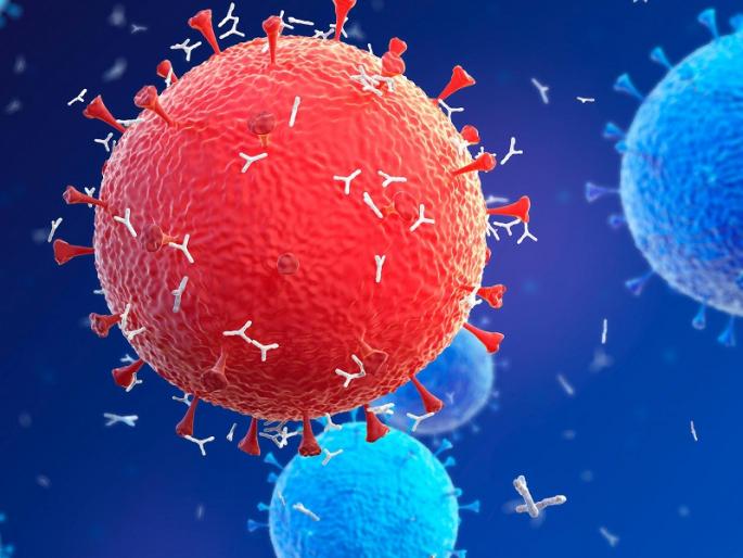 coronavirus: 'Stress- Test - Isolate' Aurangabad Municipal Corporation ranks second in the country | coronavirus : 'ट्रेस-टेस्ट-आयसोलेट'मध्ये औरंगाबाद महापालिका देशात दुसऱ्या क्रमांकावर coronavirus: 'Stress- Test - Isolate' Aurangabad Municipal Corporation ranks second in the country | coronavirus : 'ट्रेस-टेस्ट-आयसोलेट'मध्ये औरंगाबाद महापालिका देशात दुसऱ्या क्रमांकावर