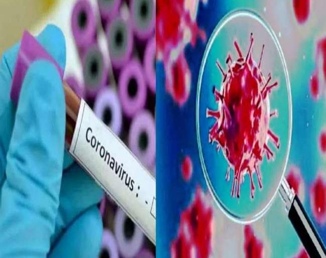 Corona of a woman close to the coronabased family in Islampur | corona virus - इस्लामपूर येथील कोरोनाबाधित कुटुंबाशी निकटवर्तीय महिलेला कोरोना Corona of a woman close to the coronabased family in Islampur | corona virus - इस्लामपूर येथील कोरोनाबाधित कुटुंबाशी निकटवर्तीय महिलेला कोरोना