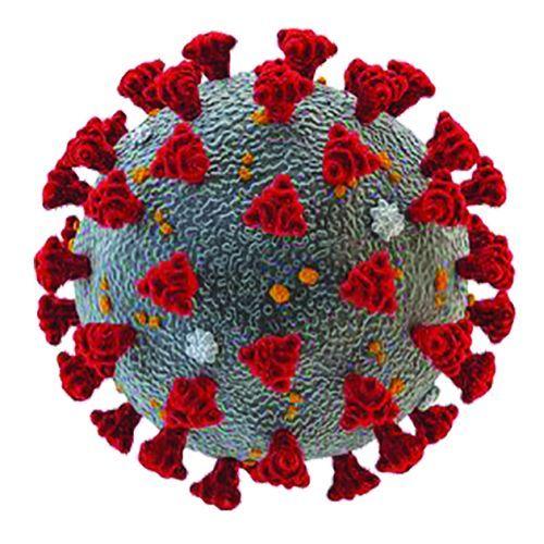 CoronaVirus in Nagpur: Slight increase in corona virus | CoronaVirus in Nagpur : कोरोना रुग्णसंख्येत किंचित वाढ CoronaVirus in Nagpur: Slight increase in corona virus | CoronaVirus in Nagpur : कोरोना रुग्णसंख्येत किंचित वाढ
