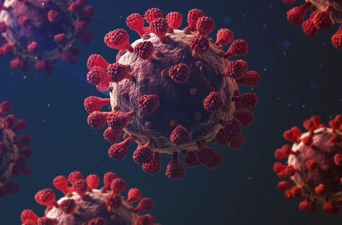CoronaVirus in Nagpur: Zero death recorded in rural areas for the first time in the second wave | CoronaVirus in Nagpur : दुसऱ्या लाटेत पहिल्यांदाच ग्रामीणमध्ये शून्य मृत्यूची नोंद CoronaVirus in Nagpur: Zero death recorded in rural areas for the first time in the second wave | CoronaVirus in Nagpur : दुसऱ्या लाटेत पहिल्यांदाच ग्रामीणमध्ये शून्य मृत्यूची नोंद