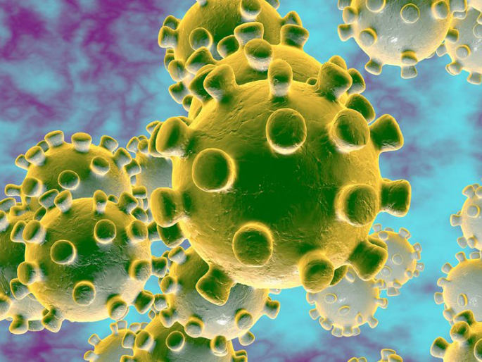 Three infected found for the second day in a row | सलग दुसऱ्या दिवशी आढळले तीन बाधित
