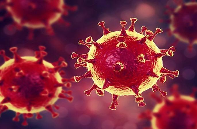 CoronaVirus in Nagpur: 11.86 per cent corona infected compared to tests | CoronaVirus in Nagpur : चाचण्यांच्या तुलनेत ११.८६ टक्के कोरोनाबाधित CoronaVirus in Nagpur: 11.86 per cent corona infected compared to tests | CoronaVirus in Nagpur : चाचण्यांच्या तुलनेत ११.८६ टक्के कोरोनाबाधित