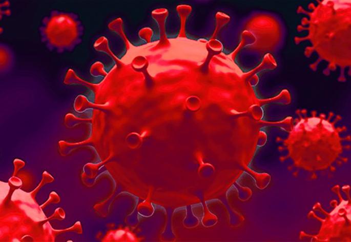 104 free of obstructed corona | १०४ बाधित कोरोनामुक्त