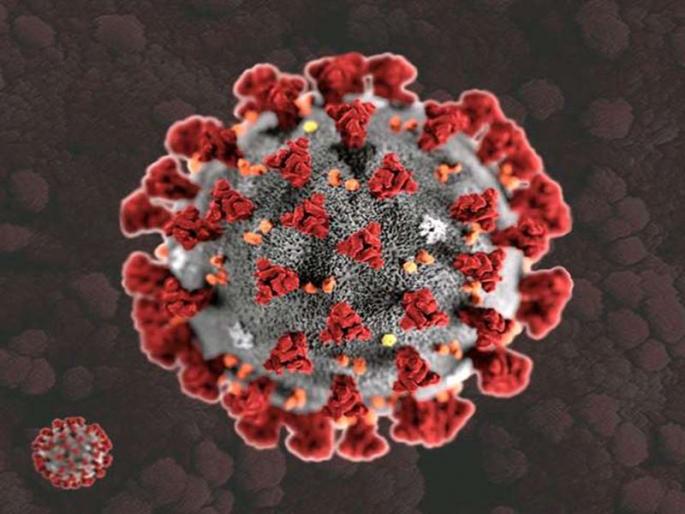 Pune Corona virus News: 6,679 people infected with new corona in Pune city on Sunday, while 2,409 in Pimpri | Pune Corona virus News: पुणे शहरात रविवारी ६ हजार ६७९, तर पिंपरीत २ हजार ४०९ जण नवे कोरोनाबाधित Pune Corona virus News: 6,679 people infected with new corona in Pune city on Sunday, while 2,409 in Pimpri | Pune Corona virus News: पुणे शहरात रविवारी ६ हजार ६७९, तर पिंपरीत २ हजार ४०९ जण नवे कोरोनाबाधित