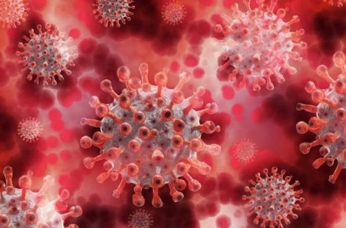 CoronaVirus in Vidarbha: For the fifth day in a row, the number of patients in Vidarbha is over four thousand | CoronaVirus in Vidarbha : विदर्भात सलग पाचव्या दिवशी रुग्णसंख्या चार हजारांवर CoronaVirus in Vidarbha: For the fifth day in a row, the number of patients in Vidarbha is over four thousand | CoronaVirus in Vidarbha : विदर्भात सलग पाचव्या दिवशी रुग्णसंख्या चार हजारांवर