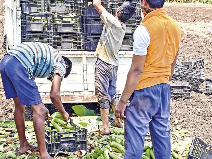 What is the life in rural area after lock-down? | पोटापाण्याचं बगाय नगं व्हय? What is the life in rural area after lock-down? | पोटापाण्याचं बगाय नगं व्हय?
