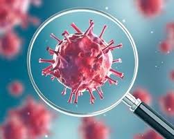 Corona's report in two hours due to a rapid test to Sinnar | सिन्नरला रॅपिड टेस्टमुळे दोन तासात कोरोनाचा अहवाल Corona's report in two hours due to a rapid test to Sinnar | सिन्नरला रॅपिड टेस्टमुळे दोन तासात कोरोनाचा अहवाल