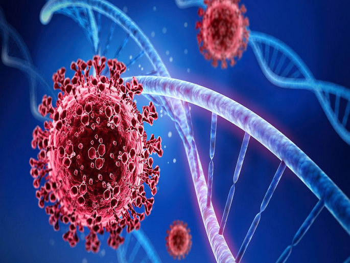 Coronavirus: New 'Centaurus' variant of Coronavirus found in the Netherlands; Experts expressed concern | Coronavirus: नेदरलँडमध्ये आढळला कोरोनाचा नवीन 'सेंटॉरस' व्हेरिएंट; तज्ज्ञांनी व्यक्त केली चिंता Coronavirus: New 'Centaurus' variant of Coronavirus found in the Netherlands; Experts expressed concern | Coronavirus: नेदरलँडमध्ये आढळला कोरोनाचा नवीन 'सेंटॉरस' व्हेरिएंट; तज्ज्ञांनी व्यक्त केली चिंता