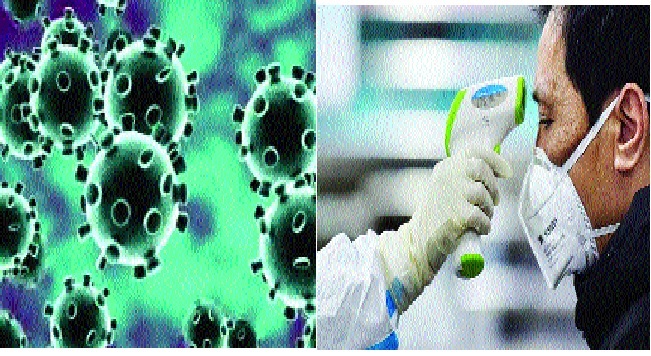 The pelvis of the poultry businessmen broke | कंबरडे मोडले । कोल्हापूर जिल्ह्यात साडेचार हजार पोल्ट्रीधारक; १५ कोटींची मासिक उलाढाल The pelvis of the poultry businessmen broke | कंबरडे मोडले । कोल्हापूर जिल्ह्यात साडेचार हजार पोल्ट्रीधारक; १५ कोटींची मासिक उलाढाल