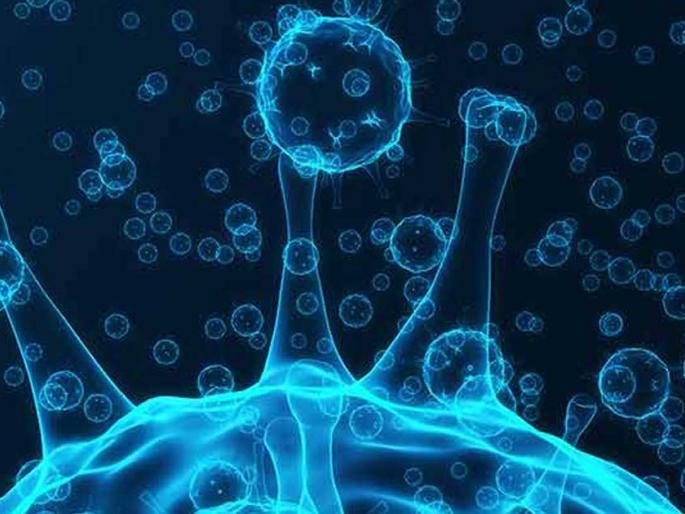 Discovery of new strain of corona in Solapur; Nine samples from five talukas including Solapur to NIV | सोलापुरात कोरोनाच्या नव्या स्ट्रेनचा शोध; सोलापूरसह पाच तालुक्यांचे ९ नमुने ‘एनआयव्ही’कडे