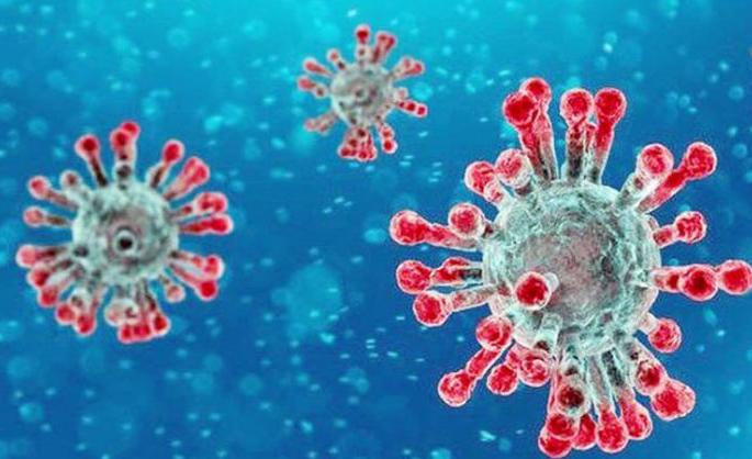 Coronavirus: 90-year-old grandmother from Bhiwandi overcomes coronavirus; 16 patients discharged on the same day | Coronavirus: भिवंडीतील ९0 वर्षीय आजीबाईंची कोरोनावर मात; एकाच दिवशी १६ रुग्णांना सुट्टी Coronavirus: 90-year-old grandmother from Bhiwandi overcomes coronavirus; 16 patients discharged on the same day | Coronavirus: भिवंडीतील ९0 वर्षीय आजीबाईंची कोरोनावर मात; एकाच दिवशी १६ रुग्णांना सुट्टी