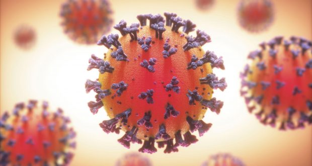 12 positives in one day in Amravati; The number of victims is 40 | अमरावतीत एका दिवसात १२ पॉझिटिव्ह; बाधितांची संख्या ४० 12 positives in one day in Amravati; The number of victims is 40 | अमरावतीत एका दिवसात १२ पॉझिटिव्ह; बाधितांची संख्या ४०