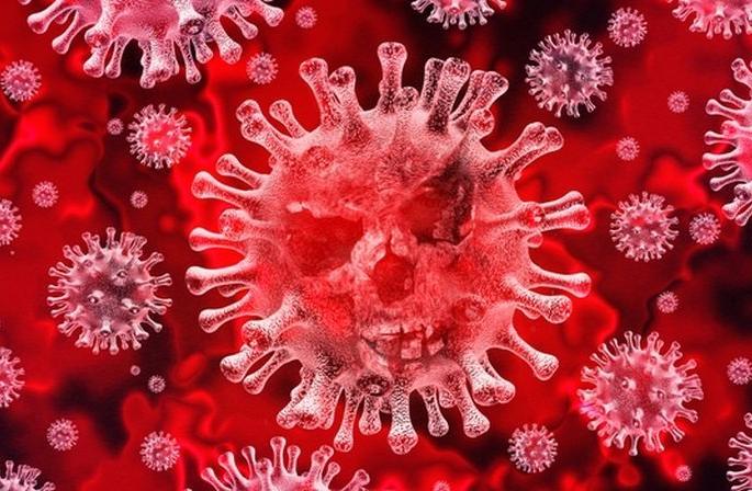 Corona has no reason to panic: Doctor's appeal | Coronavirus : कोरोनाला घाबरण्याचे कारण नाही : डॉक्टरांचे आवाहन Corona has no reason to panic: Doctor's appeal | Coronavirus : कोरोनाला घाबरण्याचे कारण नाही : डॉक्टरांचे आवाहन