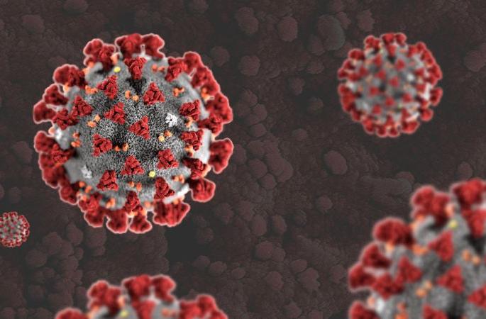 Coronavirus in Nagpur: Decrease in number of tests and patients | CoronaVirus in Nagpur : चाचण्या व रुग्णसंख्येतही घट Coronavirus in Nagpur: Decrease in number of tests and patients | CoronaVirus in Nagpur : चाचण्या व रुग्णसंख्येतही घट