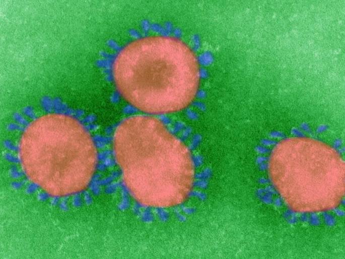 CoronaVirus: Another medical examination | CoronaVirus: आणखी एकाची वैद्यकीय तपासणी CoronaVirus: Another medical examination | CoronaVirus: आणखी एकाची वैद्यकीय तपासणी