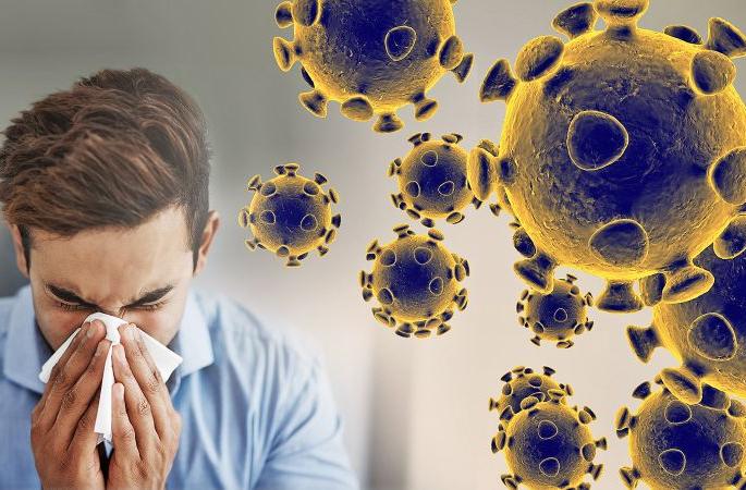 Coronavirus: 3 beds 'Quarantine' in Acolyte! | Coronavirus : अकोल्यात ५० खाटांचे ‘क्वारंटीन’! Coronavirus: 3 beds 'Quarantine' in Acolyte! | Coronavirus : अकोल्यात ५० खाटांचे ‘क्वारंटीन’!