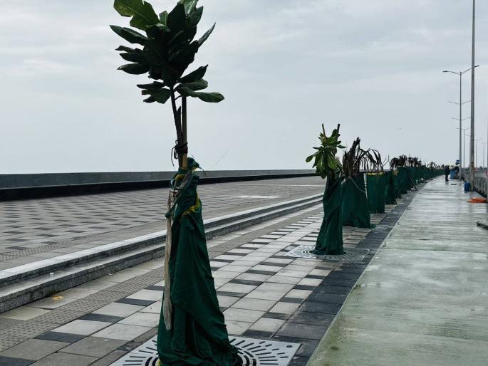 Coastal Road to open 24 hours for Mumbaikars from Friday midnight | कोस्टल रोड २४ तास खुला; विहार पथासह चार प्रवेश मार्गिकांचे मुख्यमंत्र्यांच्या हस्ते लोकार्पण