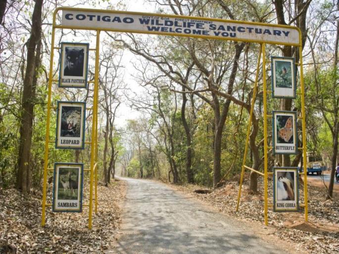 Khotigao Government Bird Festival from 12th January | 12 जानेवारीपासून खोतीगावला सरकारचा पक्षी महोत्सव Khotigao Government Bird Festival from 12th January | 12 जानेवारीपासून खोतीगावला सरकारचा पक्षी महोत्सव