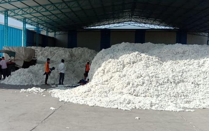 So far 9.82 lakh quintals of cotton has been procured in Akola district | अकोला जिल्ह्यात आतापर्यंत ९.८२ लाख क्विंटल कापूस खरेदी
